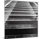 Premium Photographic Print