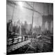 Premium Photographic Print