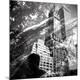 Premium Photographic Print