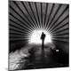 Premium Photographic Print