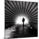Premium Photographic Print