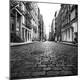 Photographic Print
