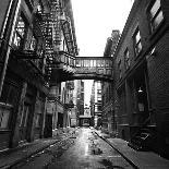 Brooklyn Bridge Triple-Evan Morris Cohen-Framed Photographic Print