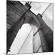 Premium Photographic Print