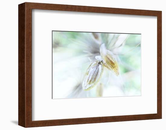 Evanesce-Jacob Berghoef-Framed Photographic Print