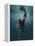 Evanesced-Martha Suherman-Framed Premier Image Canvas