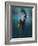 Evanesced-Martha Suherman-Framed Photographic Print