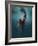 Evanesced-Martha Suherman-Framed Photographic Print