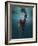 Evanesced-Martha Suherman-Framed Photographic Print