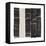 Evanescence 31-DAG, Inc-Framed Stretched Canvas