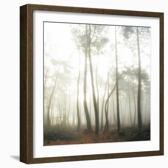 Evanescence-Viviane Fedieu Daniel-Framed Photographic Print