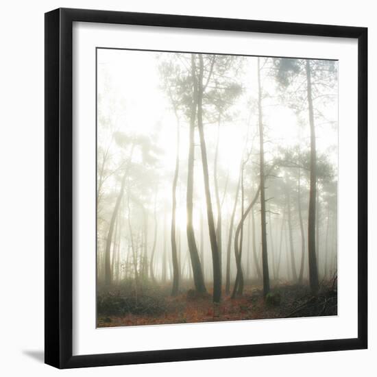 Evanescence-Viviane Fedieu Daniel-Framed Photographic Print