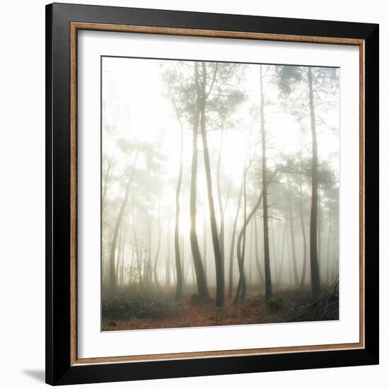 Evanescence-Viviane Fedieu Daniel-Framed Photographic Print