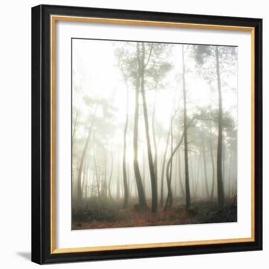 Evanescence-Viviane Fedieu Daniel-Framed Photographic Print