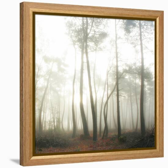 Evanescence-Viviane Fedieu Daniel-Framed Premier Image Canvas