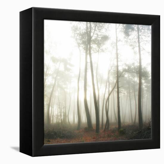 Evanescence-Viviane Fedieu Daniel-Framed Premier Image Canvas