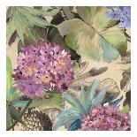 Hydrangeas Panel-Eve C^ Grant-Stretched Canvas