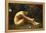 Eve in the Garden of Eden-Anna Lea Merritt-Framed Premier Image Canvas