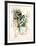 Eve Series #2-Anton Cetin-Framed Collectable Print