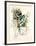 Eve Series #2-Anton Cetin-Framed Collectable Print