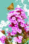 Flores de Mexico-Evelia Designs-Art Print