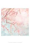 Sweet Cherry Blossoms IV-Evelia Designs-Framed Art Print