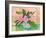 Evelyn Rose Flowers-Blenda Tyvoll-Framed Art Print