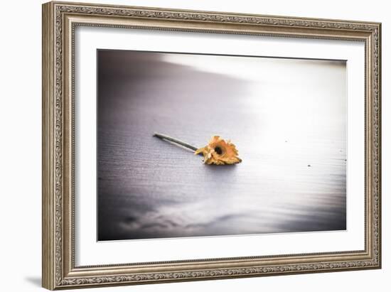 Even Daisies Have Bad Days-Chris Moyer-Framed Photographic Print