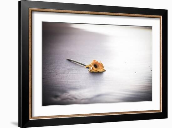 Even Daisies Have Bad Days-Chris Moyer-Framed Photographic Print