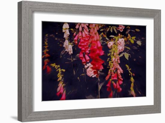 Even in Dark Places-Helen White-Framed Giclee Print