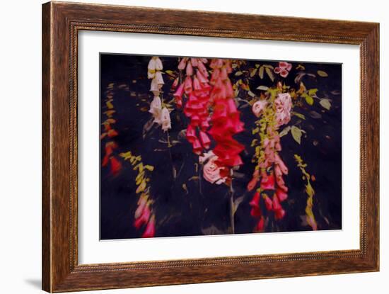 Even in Dark Places-Helen White-Framed Giclee Print