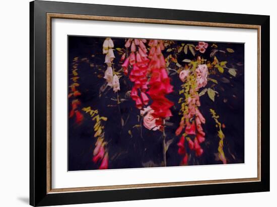 Even in Dark Places-Helen White-Framed Giclee Print