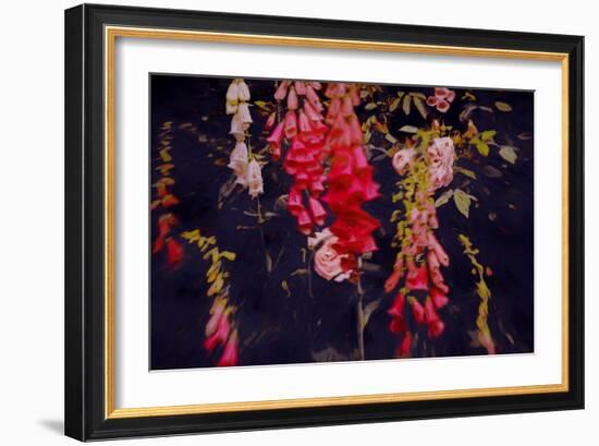 Even in Dark Places-Helen White-Framed Giclee Print