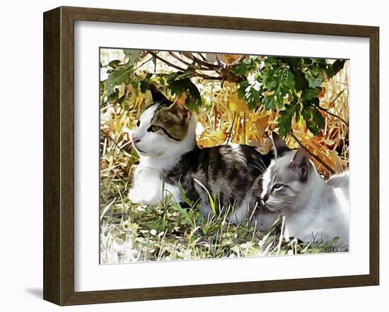 Even Kittens Gossip-Dorothy Berry-Lound-Framed Giclee Print