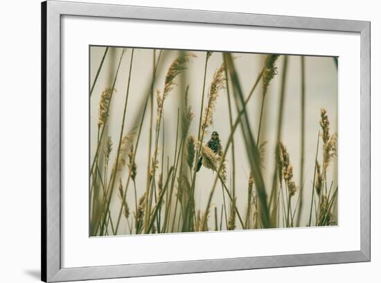 Even The Skies Have Limits-Eunika Rogers-Framed Art Print