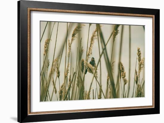Even The Skies Have Limits-Eunika Rogers-Framed Art Print
