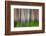 Evening Aspen-Ursula Abresch-Framed Photographic Print