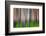 Evening Aspen-Ursula Abresch-Framed Photographic Print