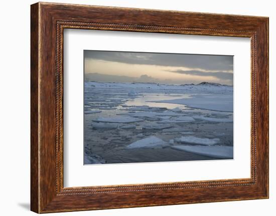 Evening at Jokulsarlon Glacier-Niki Haselwanter-Framed Photographic Print