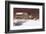 Evening at Knabb Farm-Bradley Hendershot-Framed Art Print