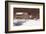 Evening at Knabb Farm-Bradley Hendershot-Framed Art Print