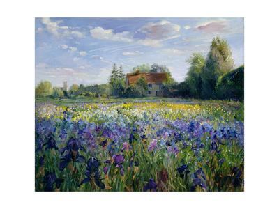 Evening At The Iris Field Giclee Print Timothy Easton Art Com