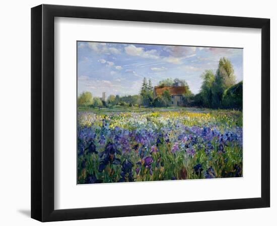 Evening at the Iris Field-Timothy Easton-Framed Giclee Print