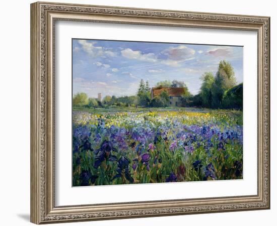 Evening at the Iris Field-Timothy Easton-Framed Giclee Print