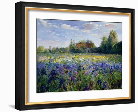 Evening at the Iris Field-Timothy Easton-Framed Giclee Print