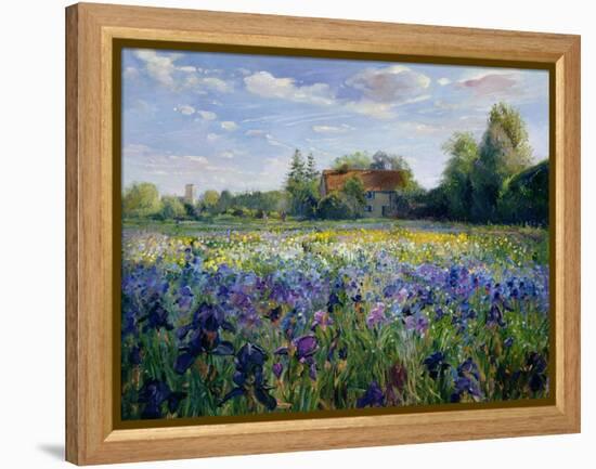 Evening at the Iris Field-Timothy Easton-Framed Premier Image Canvas