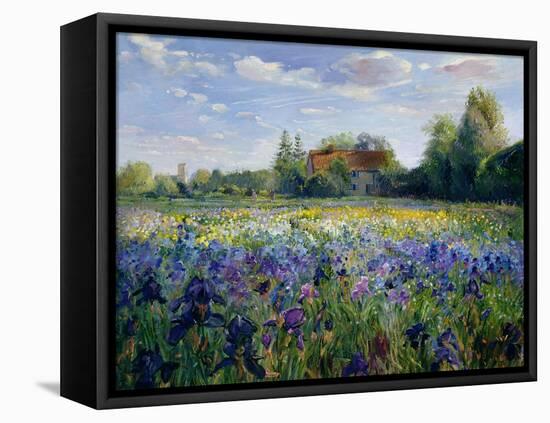 Evening at the Iris Field-Timothy Easton-Framed Premier Image Canvas