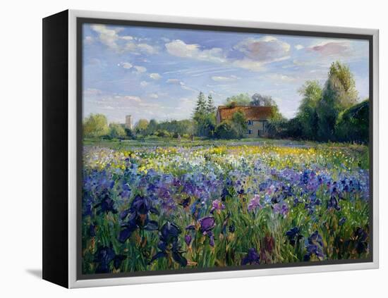 Evening at the Iris Field-Timothy Easton-Framed Premier Image Canvas