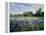 Evening at the Iris Field-Timothy Easton-Framed Premier Image Canvas