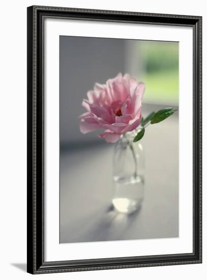 Evening Blooms-Sarah Gardner-Framed Photo